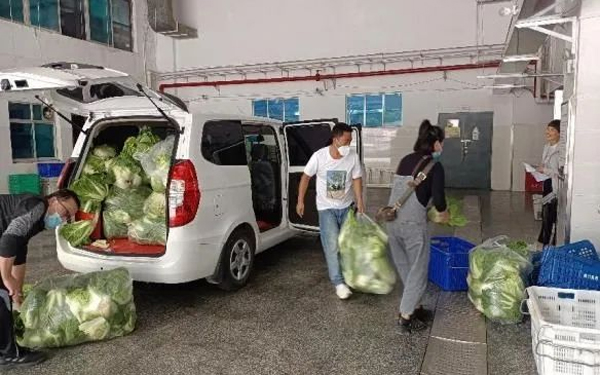 9月4日，高二學生家長捐贈白菜400斤。