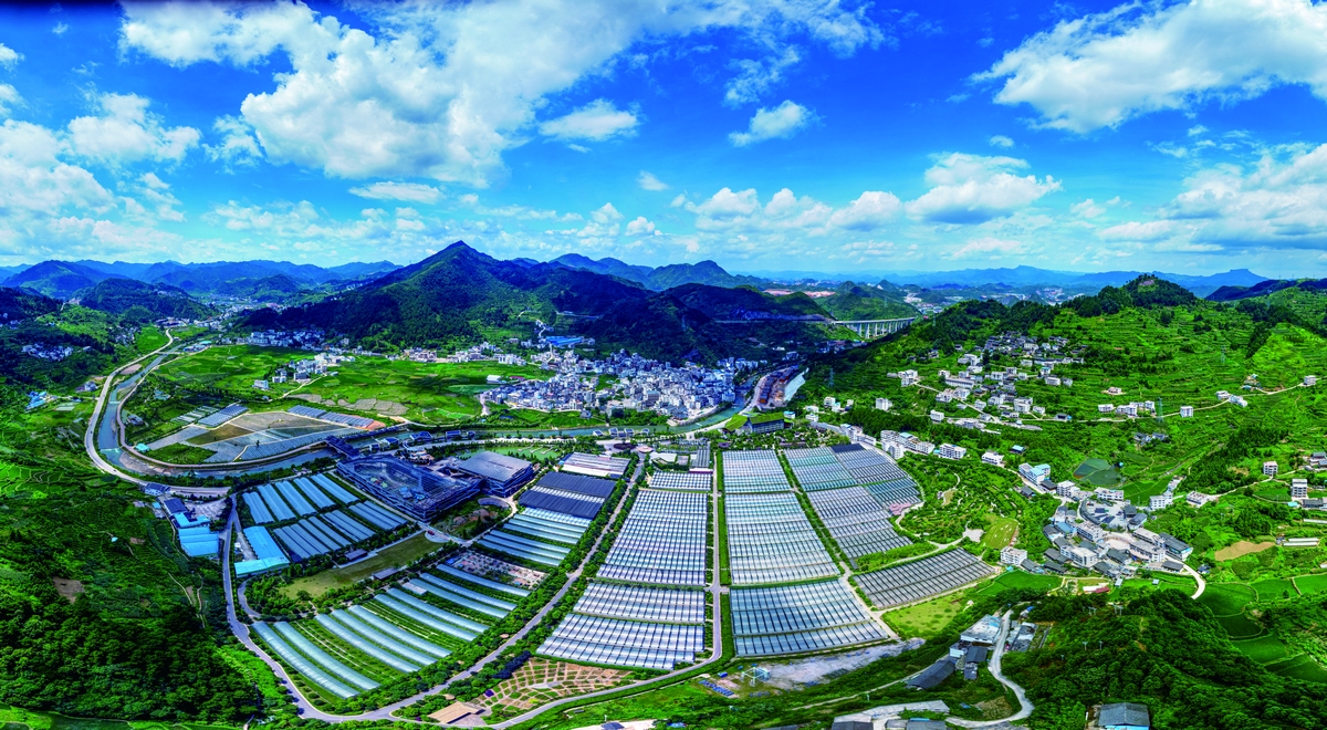 舟溪云谷田園全景。