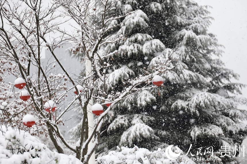 被白雪覆蓋的紅燈籠。人民網(wǎng) 顧蘭云攝