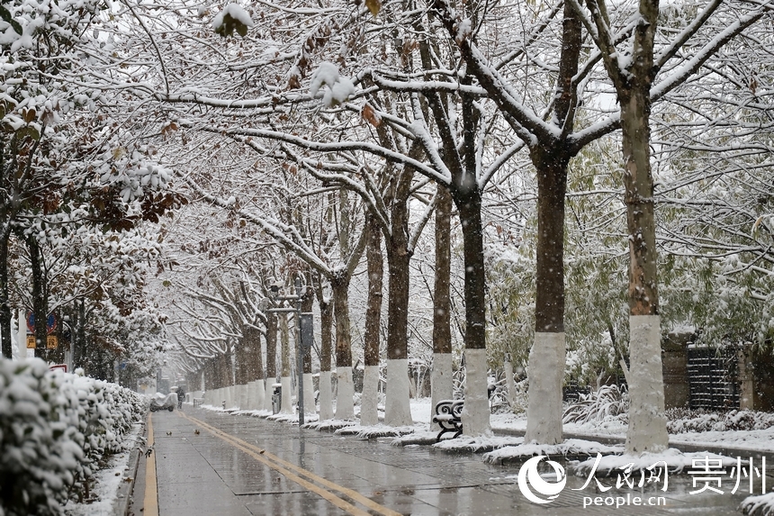 人行道雪景。人民網(wǎng) 顧蘭云攝