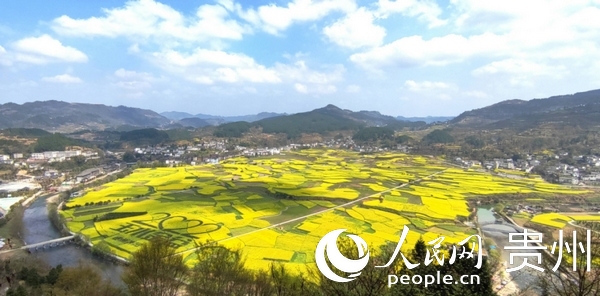 開陽禾豐鄉(xiāng)油菜花海。人民網(wǎng) 龍章榆 攝
