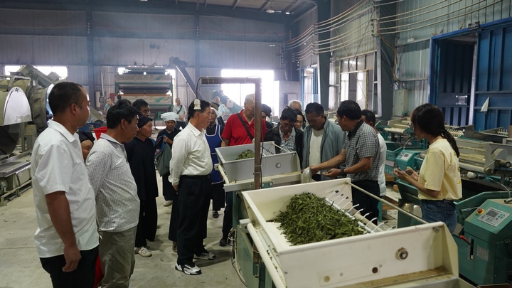 圖為專家在車間進行實操講解。