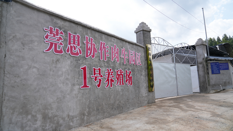 莞思協(xié)作肉牛園區(qū)1號養(yǎng)殖場。思南縣融媒體中心供圖