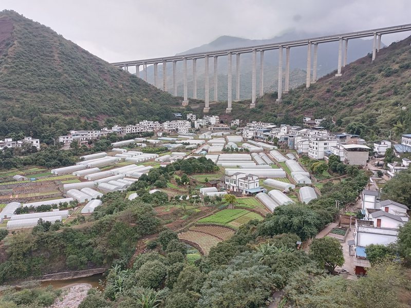 6、土城鎮(zhèn)華潤(rùn)社區(qū)蔬菜保供基地全景。 習(xí)水縣融媒體中心供圖