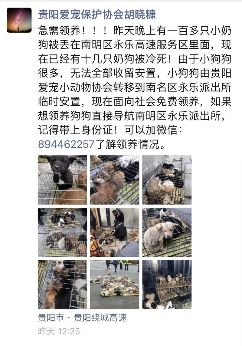 朋友圈“救助消息”截圖。