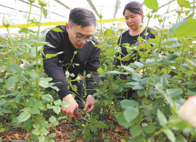 圖為葉傳增（左）在學(xué)習(xí)田間管護(hù)。