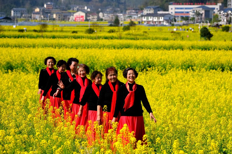 6、游客在油菜花田間游玩.。李珊珊 攝..JPG