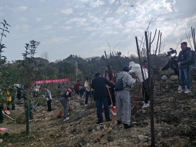 貴陽市花溪區(qū)義務植樹活動現(xiàn)場。貴州省林業(yè)局供圖.jpg