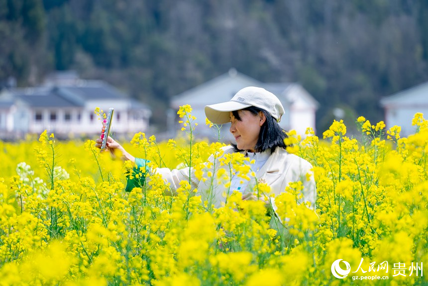 油菜花中拍照的游客。人民網(wǎng)記者 涂敏攝