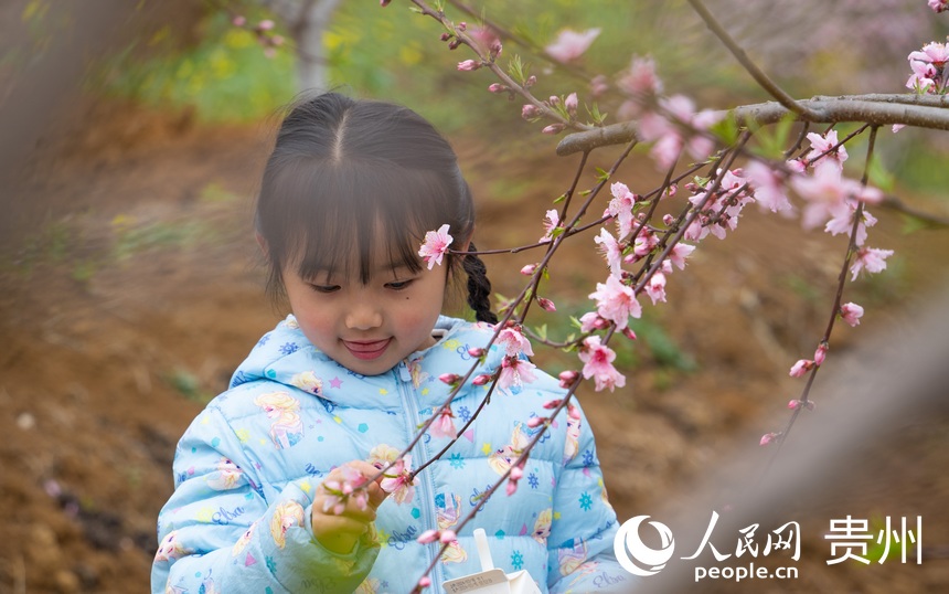 游客在桃花林中游玩賞花。人民網(wǎng) 陽(yáng)茜攝
