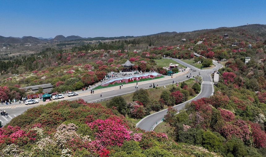 游客在貴州省畢節(jié)市百里杜鵑管理區(qū)普底景區(qū)游覽（無人機照片）。