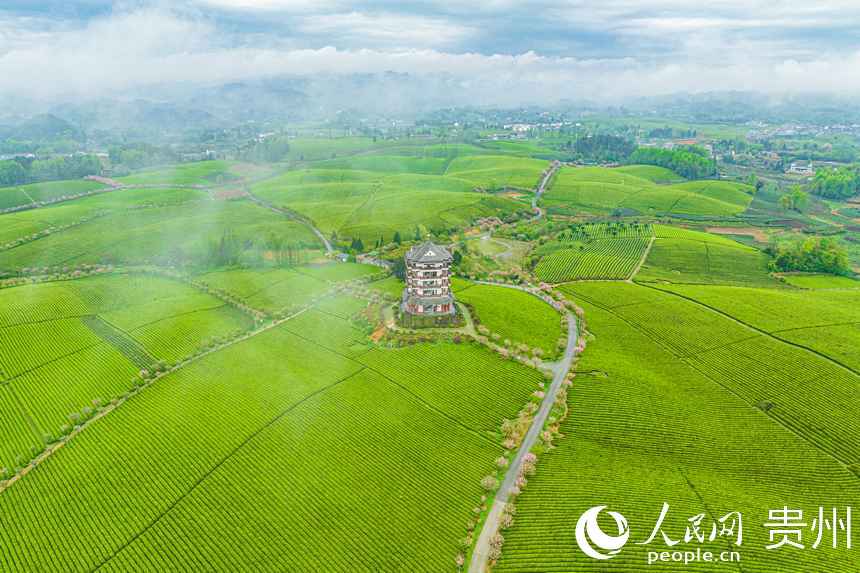 景區(qū)內(nèi)修建了觀景樓方便游客賞茶海。人民網(wǎng) 陽茜攝