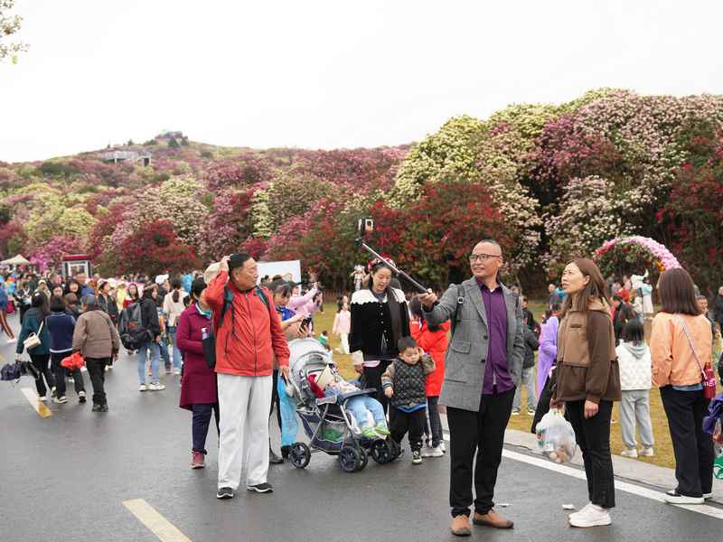 4月4日，在貴州畢節(jié)百里杜鵑普底景區(qū)錦繡坪，游客正在拍照打卡。楊品益攝