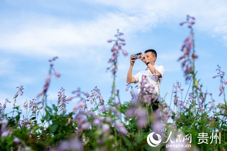 游客在玉簪花叢中拍照打卡。人民網(wǎng)記者 涂敏攝