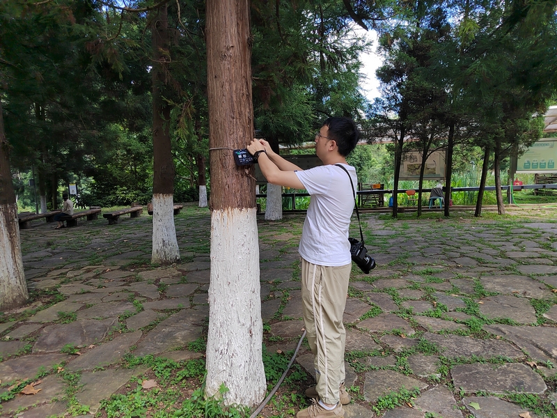 貴陽(yáng)阿哈湖國(guó)家濕地公園的動(dòng)植物有了“身份卡” 。陳雨倩拍攝 (4)