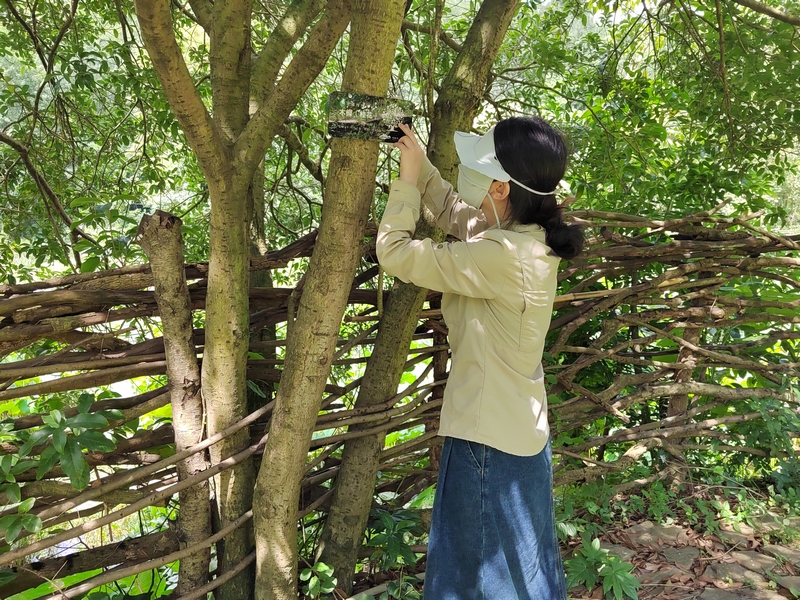 貴陽(yáng)阿哈湖國(guó)家濕地公園的動(dòng)植物有了“身份卡” 。陳雨倩拍攝 (2)
