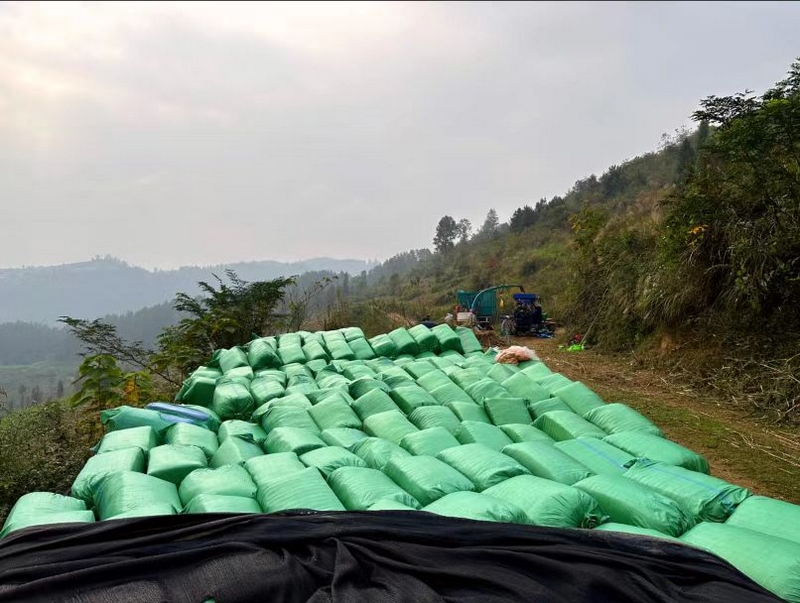 將飼草粉碎后壓縮、打包