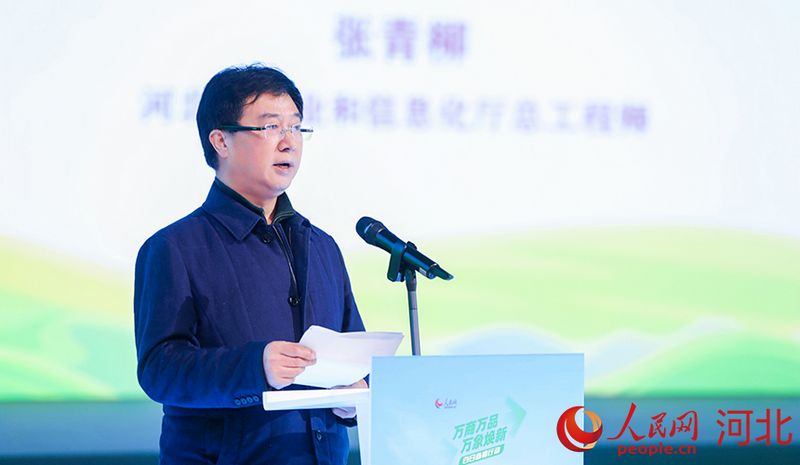 河北省工業(yè)和信息化廳總工程師張青柳講話。人民網(wǎng)記者 李兆民攝