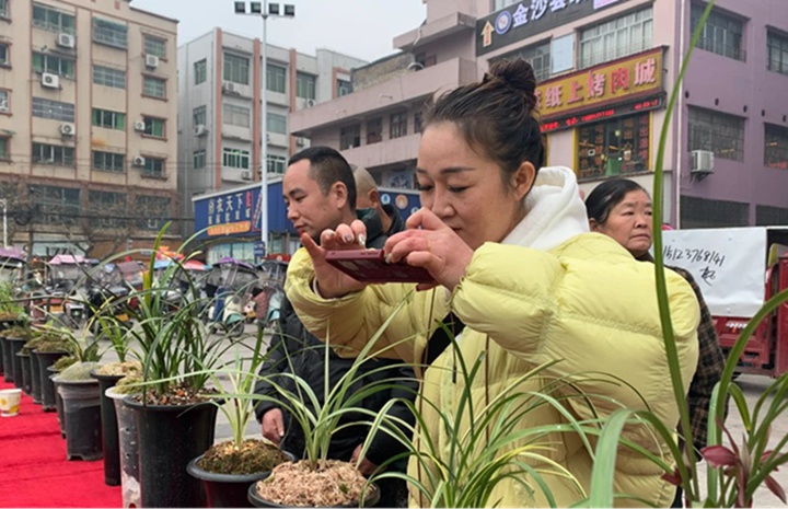 蘭花觀賞區(qū)。