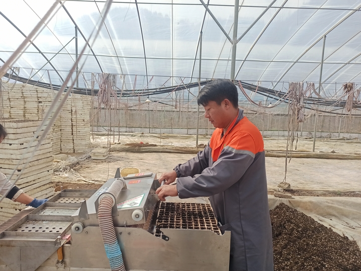 2025年3月2日，赫章正豐農(nóng)業(yè)有限公司蔬菜大棚育苗忙，江雪攝.jpg （2）.jpg