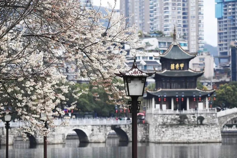 春日尋芳，花漾南明。