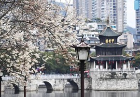 南明春日?qǐng)D鑒：一城花開千面