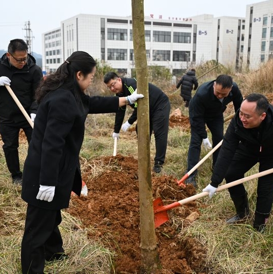 新春伊始萬象新，植綠添彩正當(dāng)時。2月5日，春節(jié)假期后的首個工作日，開陽縣四班子領(lǐng)導(dǎo)率經(jīng)開區(qū)、縣人武部及民兵、縣直各部門、縣青年志愿者……