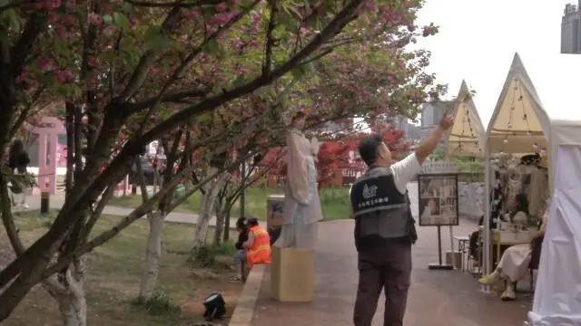 貴州鐘山：櫻花盛景催熱“賞花經(jīng)濟” (1).jpg