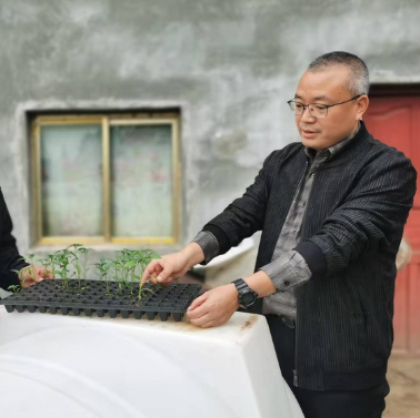 眼下正值辣椒育苗的好時節(jié)，走進黔西市蓮城街道坪子社區(qū)的貴州省黔沃農(nóng)業(yè)科技有限公司基地內(nèi)，呈現(xiàn)出一片熱鬧非凡的勞作景象。
