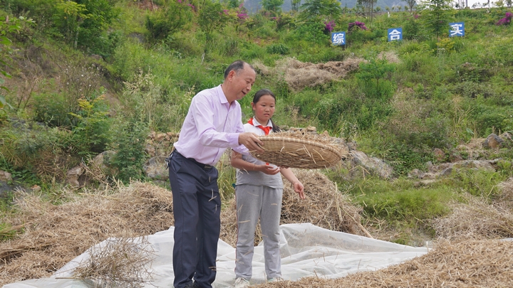 老師示范竹篩子分離油菜籽和碎葉（陳敏攝）.JPG