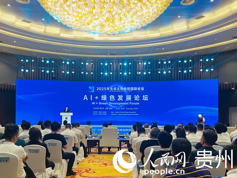 論壇現(xiàn)場(chǎng)。人民網(wǎng) 李麗萍攝